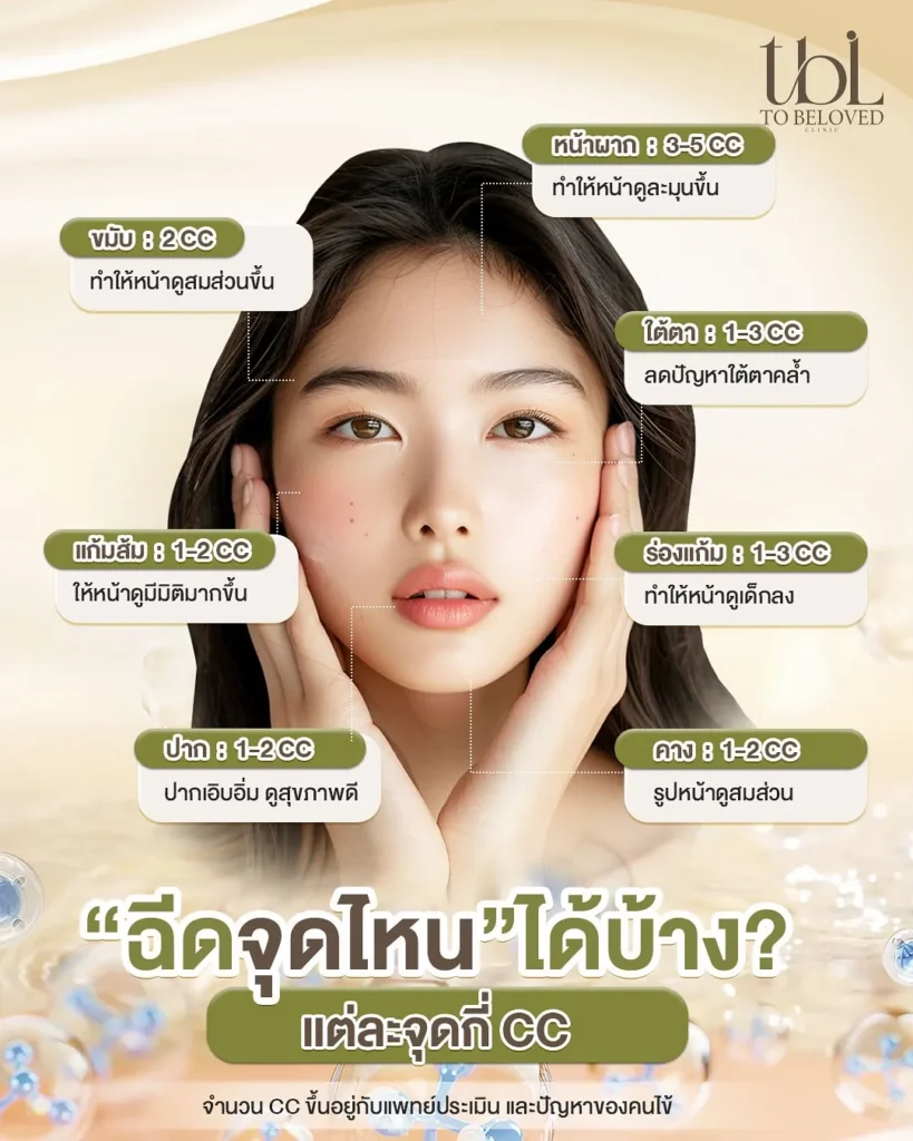 ฟิลเลอร์